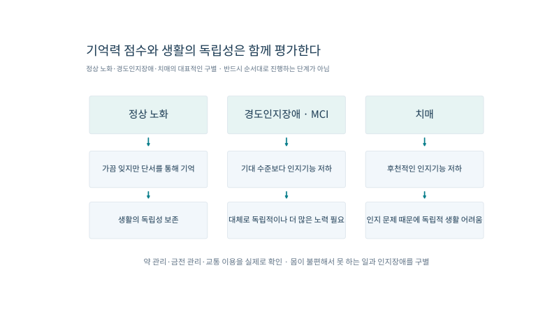 의학이론 제5편 척추·두부·신경계ㅣ제15장 치매