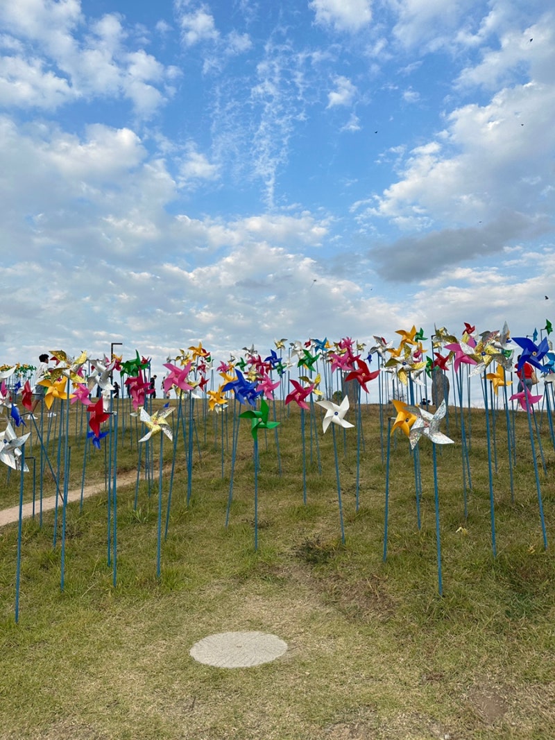 임진각 평화누리 가을 나들이 후기 파주 아이와 가볼만한 곳