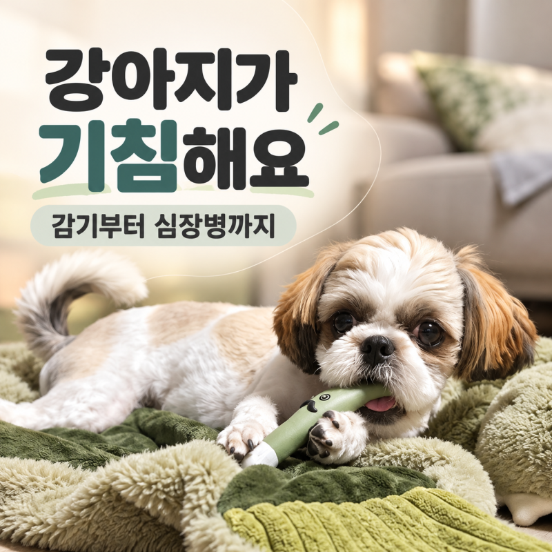 심장·호흡기 시리즈 1.강아지 기침 원인 총정리｜감기·기관허탈·폐렴·심장병까지