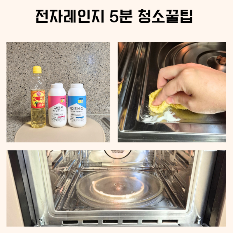 전자레인지 청소방법 5분이면 끝! 식초 구연산 차이 비교, 베이킹소다 찌든때 제거까지