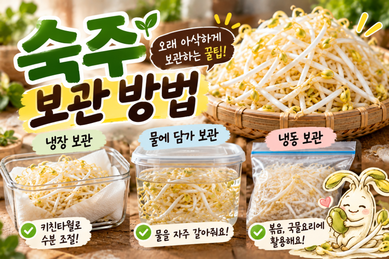 숙주 보관방법｜쉽게 무르지 않고 오래 아삭하게 보관하는 법