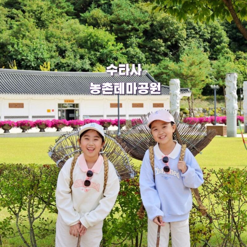 홍천 가볼만한곳 10월 강원도 가을 여행지 추천 단풍 명소 수타사 농촌테마공원