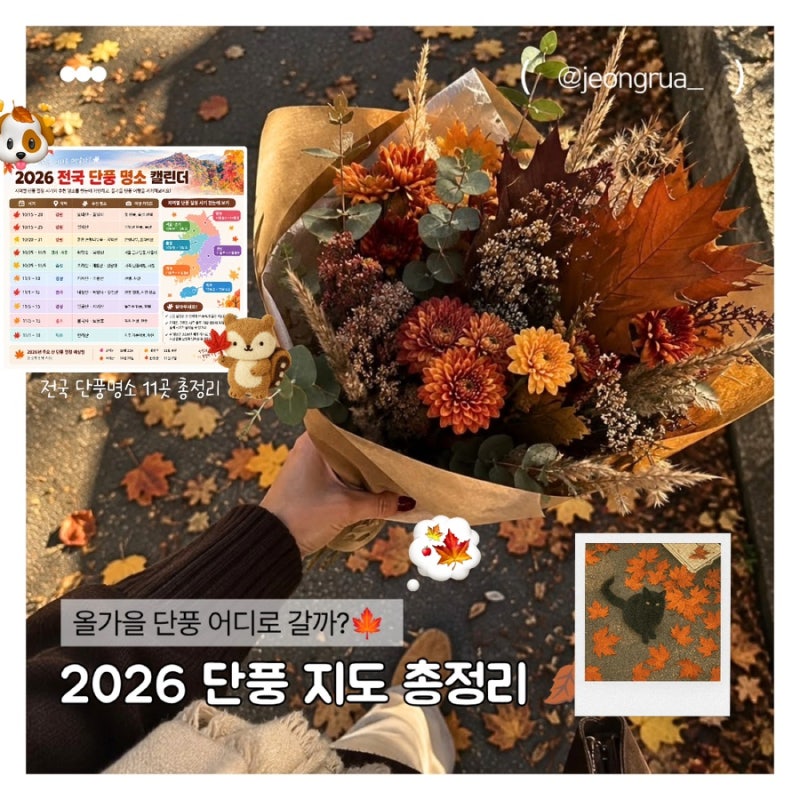 2026 전국 단풍 명소 총정리｜지역별 단풍 절정 시기부터 추천 명소까지