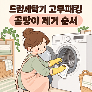 드럼세탁기 고무패킹 곰팡이 제거법: LG·삼성 안내 세제와 청소 순서 정리