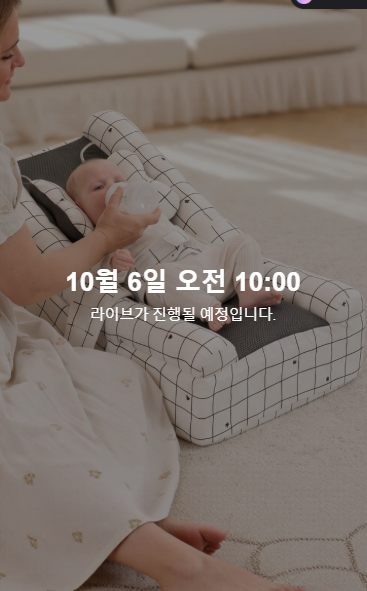 베라쇼 베이비스텔라 수유쿠션, 조이 카시트 핫딜 소식(10/6~10/8)