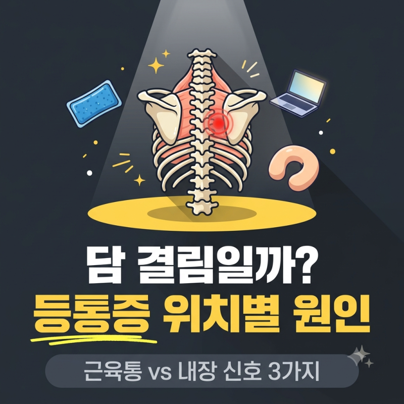 등통증 원인, 위치별 정리 · 날개뼈 통증과 내장 신호 구분 3가지