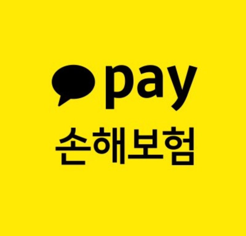 카카오페이손해보험 여행자보험 이스타항공 비행기 결항 보상 20만원 받은 후기｜청구 방법....
