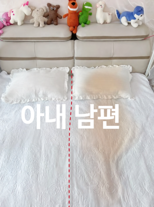 홀애비냄새 제거를 위해 침구류세탁 부터 침대까지 분해해봤습니다
