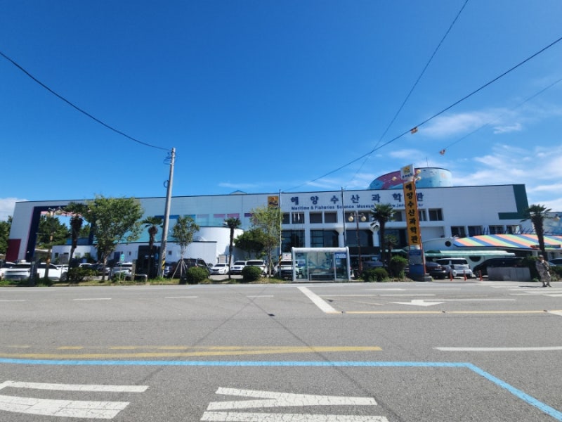 여수 아이와 가볼만한곳 해양수산과학관 돌산 여행코스