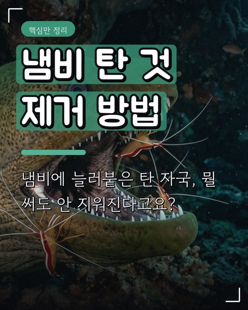 냄비 탄 것 제거 방법