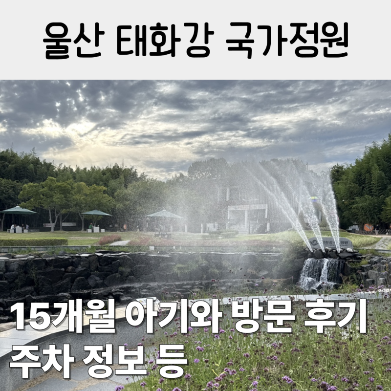 울산 태화강 국가정원 아기랑 피크닉, 주차장 등