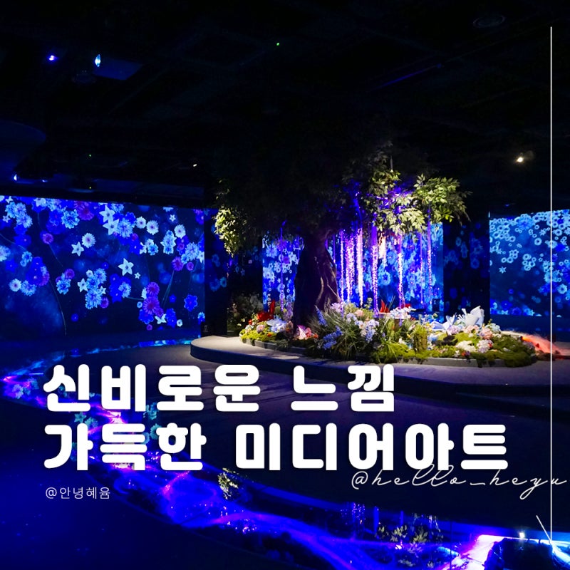 남원 가볼만한곳에서 즐긴 몰입감 가득한 미디어아트 남원 피오리움