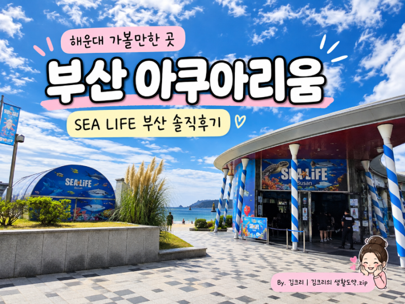 부산 아쿠아리움 씨라이프 후기｜해운대 아이와 가볼만한 곳, 인어공연까지