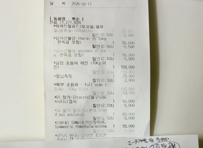 강아지 건강검진 비용 평균 이 정도였네요