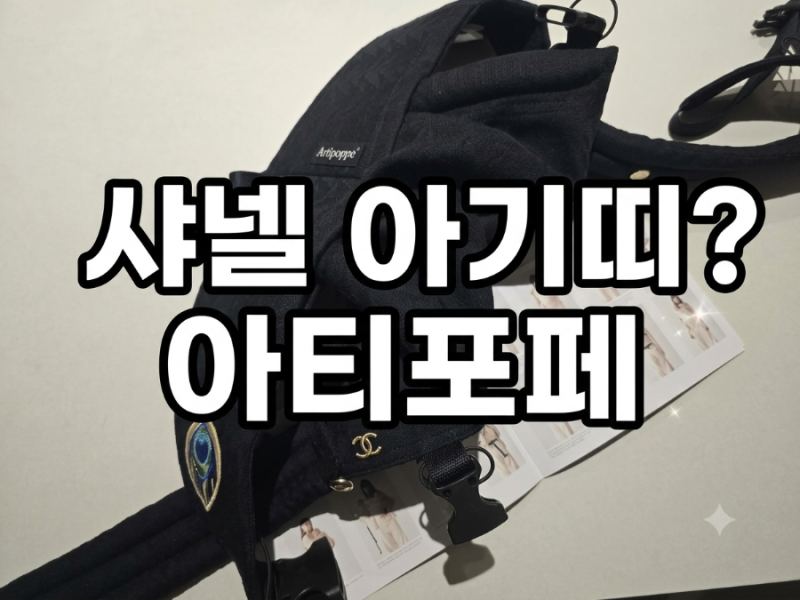 "샤넬 아기띠? 하나에 80만 원?" 아티포페(Artipoppe)가 유독 비싼 5가지 이유