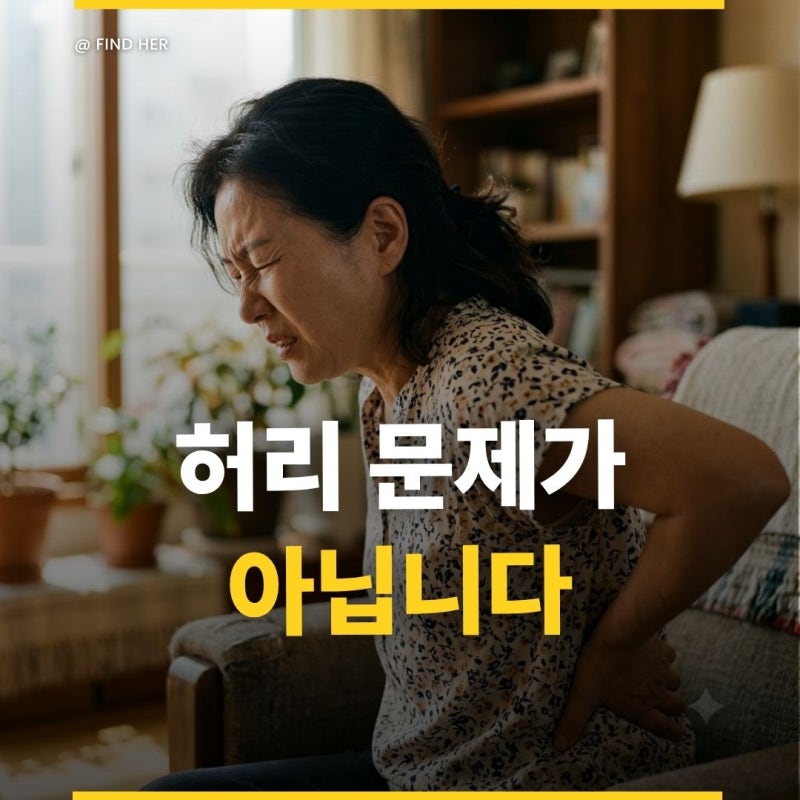 "허리 디스크라며 파스만 붙였는데..." 웅크리면 덜 아픈 췌장 통증 신호 3가지