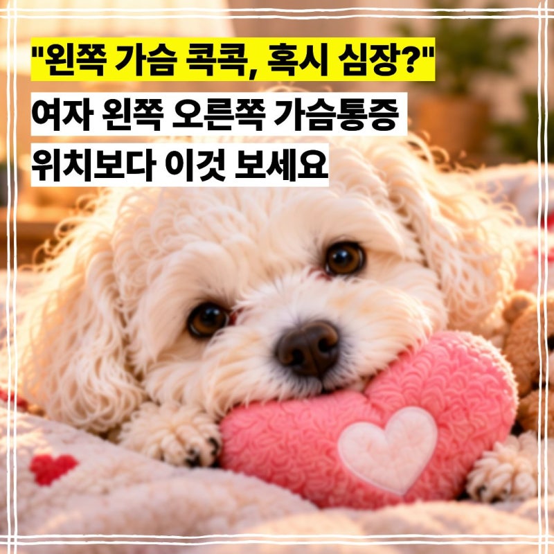 "왼쪽 가슴 콕콕, 혹시 심장?" 여자 왼쪽 오른쪽 가슴통증 위치보다 이것 보세요