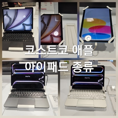 코스트코 애플 아이패드 종류 가격 에어 프로 M4 M5 A16