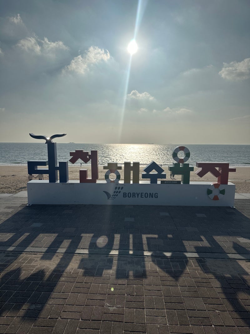 대천해수욕장 뚜벅이 여행 후기 : 대천역 버스 타고 10년 만에 찾은 머드광장