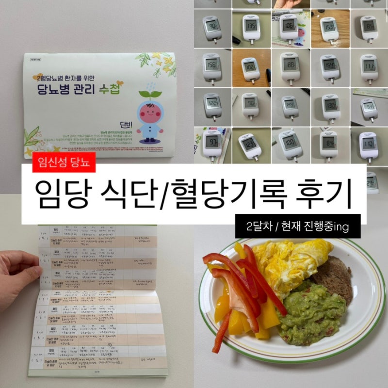 임신성 당뇨(임당) 식단/혈당기록 2달 후기 - 임당 식단, 혈당기록, 휴마로그 인슐린, 임당 외....