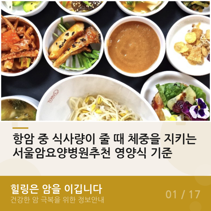 항암 중 식사량이 줄 때 체중을 지키는 서울암요양병원추천 영양식 기준