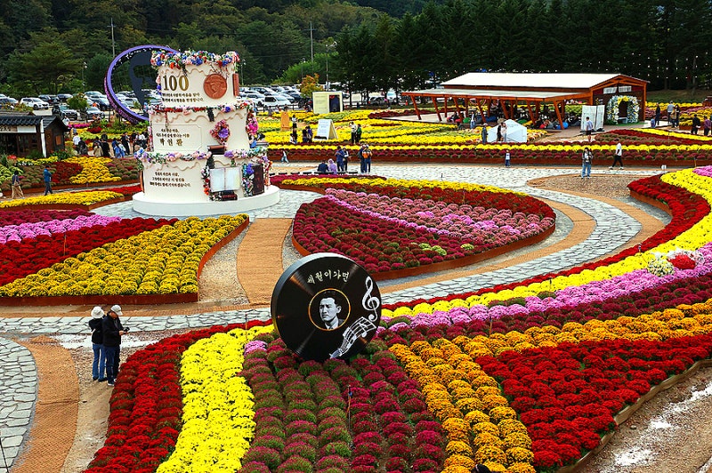 강원특별자치도, 인제군,박인환 시인 탄생100주년 기념, 가을꽃축제
