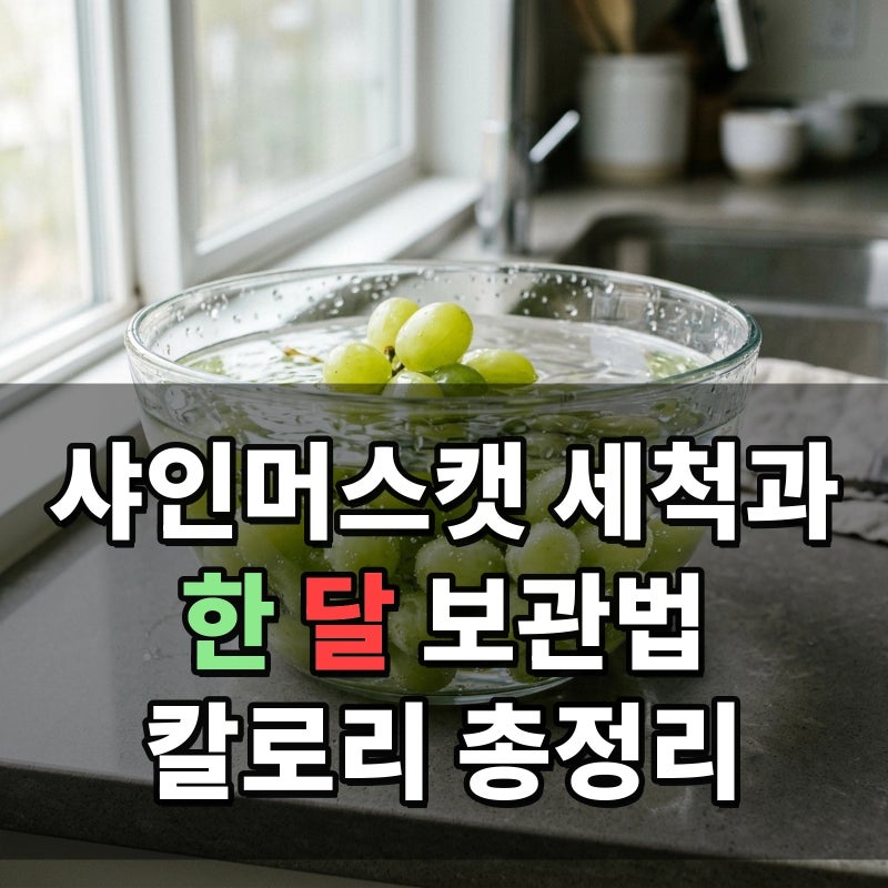 샤인머스캣 깨끗한 세척법과 싱싱한 냉장 냉동 보관 요령 및 100g 칼로리 영양 정보와 반려견 ....