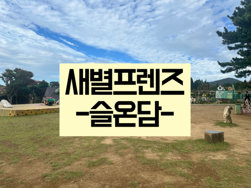 제주 새별프렌즈｜아이들과 동물 먹이주기 체험