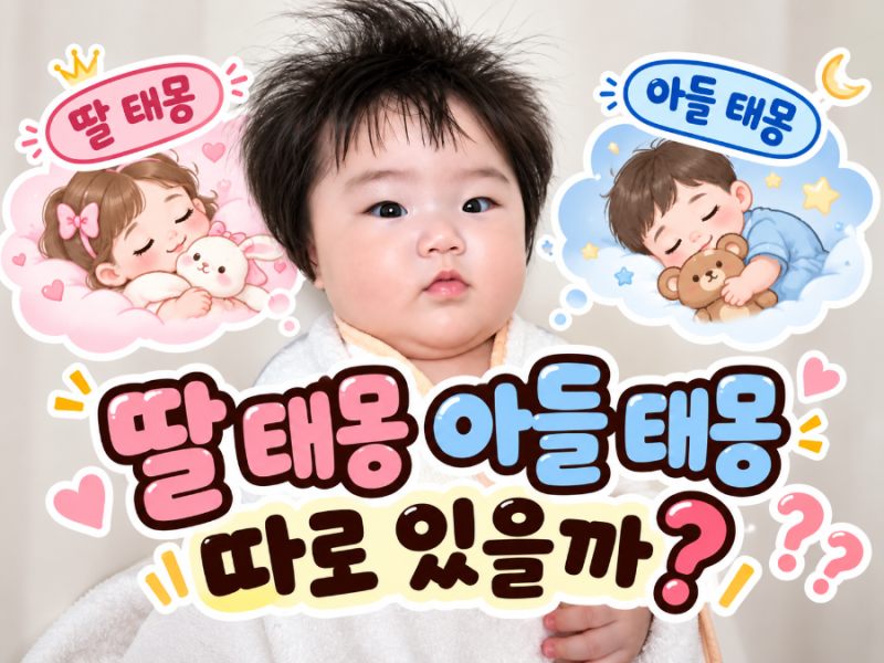 태몽 성별 딸 아들 다를까? 첫째 둘째 경험담