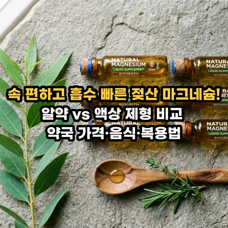 젖산 마그네슘 효능과 부작용! 위장 장애 없는 흡수율부터 알약·액상 추천 비교, 약국 구매 ....