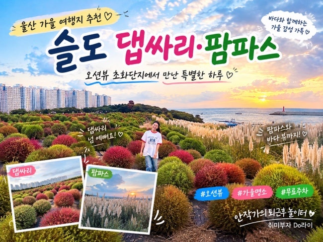 [울산 가볼만한곳] 슬도 댑싸리·팜파스 명소｜오션뷰 가을 사진 스팟 무료주차팁!