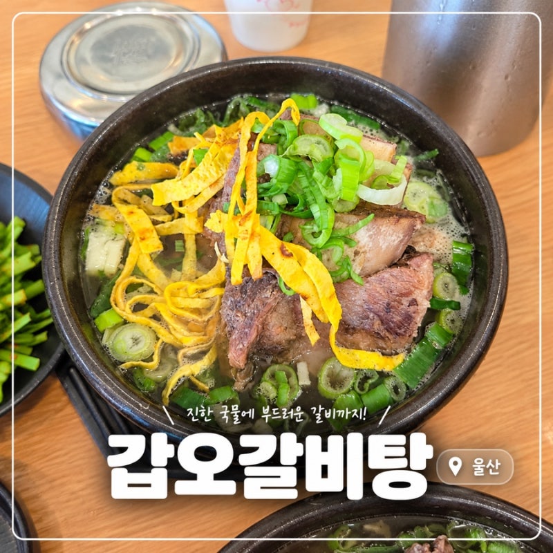 울산 장생포 고래박물관 근처 갈비탕 맛집 울산 갑오갈비탕