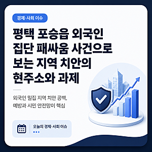 평택 포승읍 외국인 집단 패싸움 사건으로 보는 지역 치안의 현주소와 과제