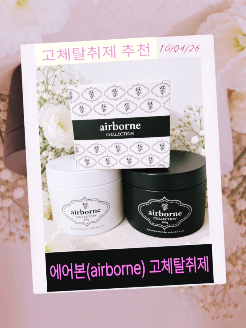 아기있는집 고체탈취제 에어본(airborne) 실내탈취제 사용후기