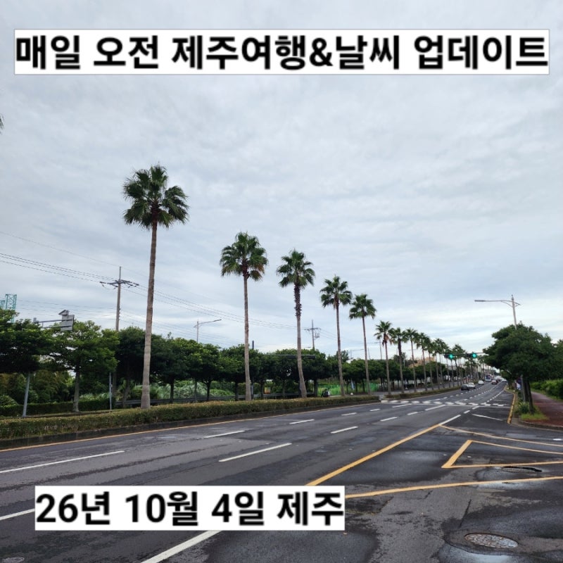 10월 4일 일요일 제주날씨 서귀포 실시간 옷차림 비 오는 날 쌀쌀한 가을 날씨 한라산 예보