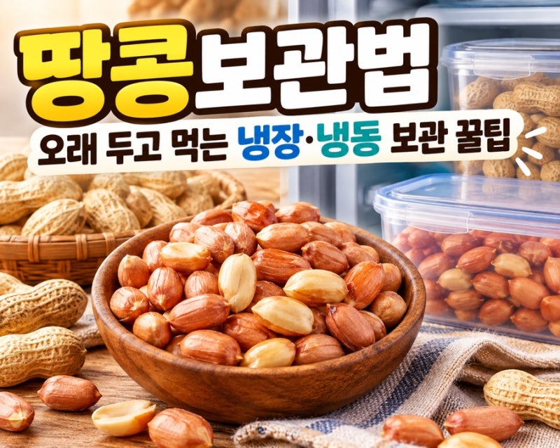 땅콩보관법 오래 두고 먹는 냉장·냉동 보관 꿀팁