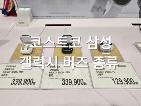 코스트코 갤럭시 버즈 종류 가격 버즈4 프로 버즈3 FE