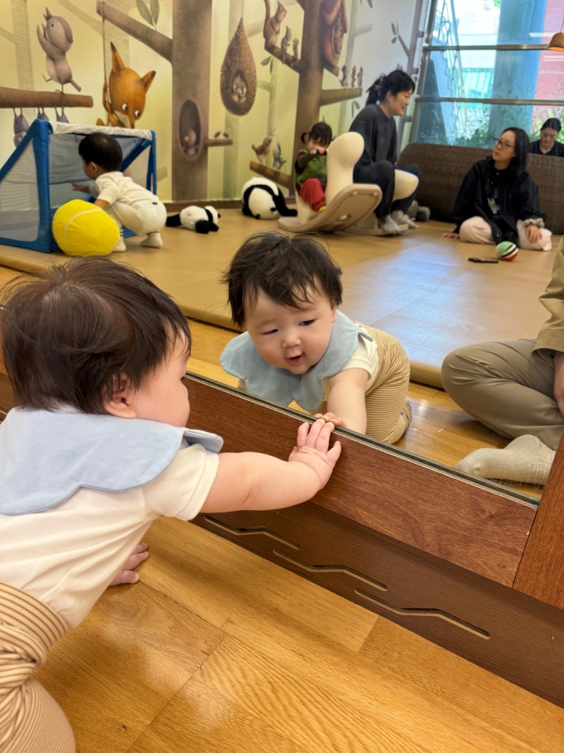 경기도어린이박물관 7개월 아기랑 6살 첫째랑 방문 후기｜무료 예약·주차·아기둥지·수유실