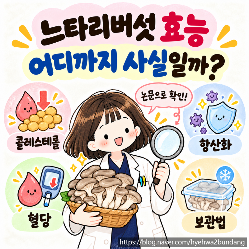 느타리버섯 효능 4가지, 어디까지 사실일까? 치대생이 논문으로 팩트체크 (+보관법)