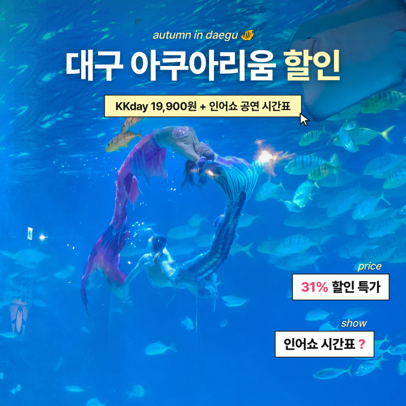 대구 아쿠아리움 할인 인어쇼 공연 시간표 주차 생일 총정리