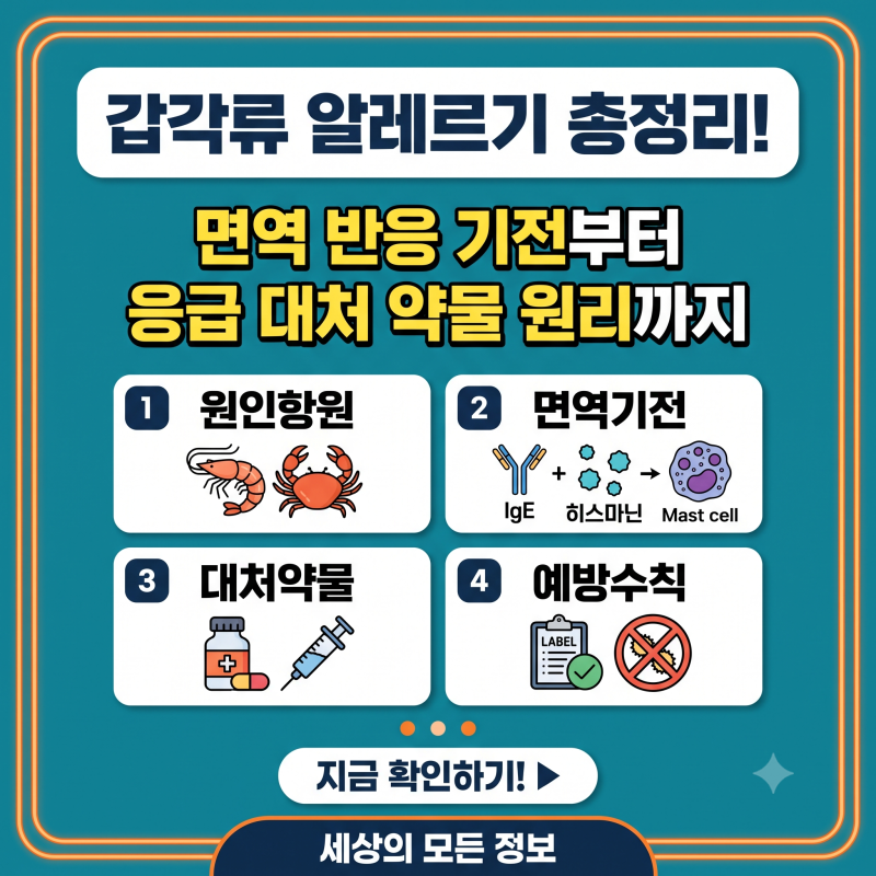 갑각류 알레르기 과학적인 원인과 증상 총정리: 면역 반응 기전부터 응급 대처 약물 원리까....