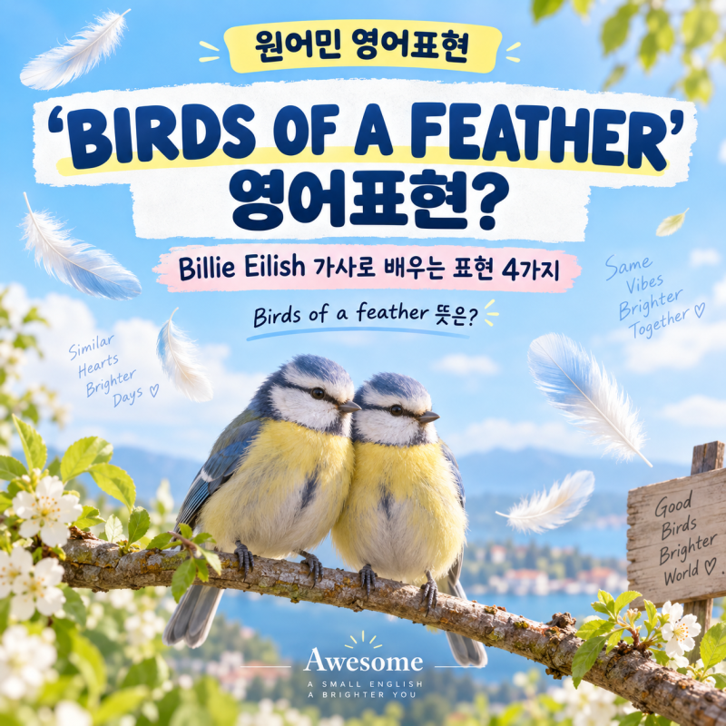 Billie Eilish ‘BIRDS OF A FEATHER’ 가사로 배우는 영어표현 4가지｜Birds of a feather 뜻은?
