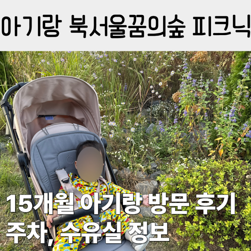 서울 아기랑 갈만한 곳 북서울꿈의숲 피크닉