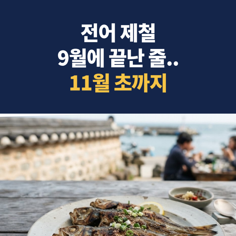 전어 제철 "9월에 끝난 줄 알았는데.." 가을전어 11월 초까지, 금어기 5월부터