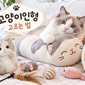 고양이인형 고르는 법, 바디필로우부터 반려묘 장난감까지 비교해봤어요