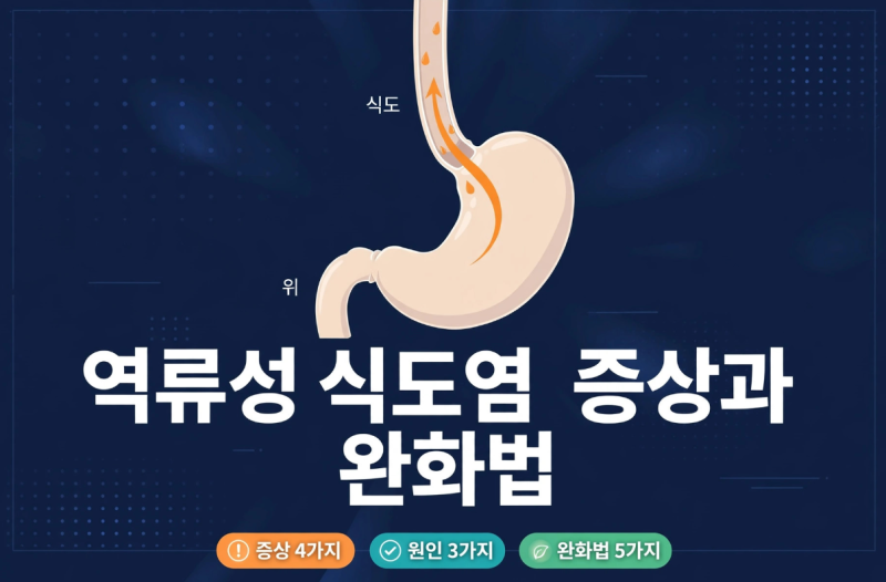 속쓰림·신물 올라올 때: 역류성 식도염 증상과 완화 방법 총정리