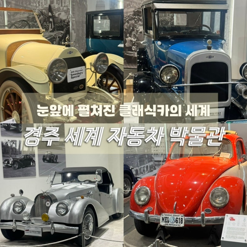 경주 아기랑 가볼만한 곳ㅣ경주세계 자동차박물관, 멋진 빈티지 자동차에 엄빠도 반한 곳
