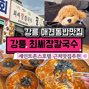 강릉 세인트존스호텔 근처 맛집｜애견동반 가능한 최씨장칼국수 장칼국수 찐맛집 내돈내산 ....