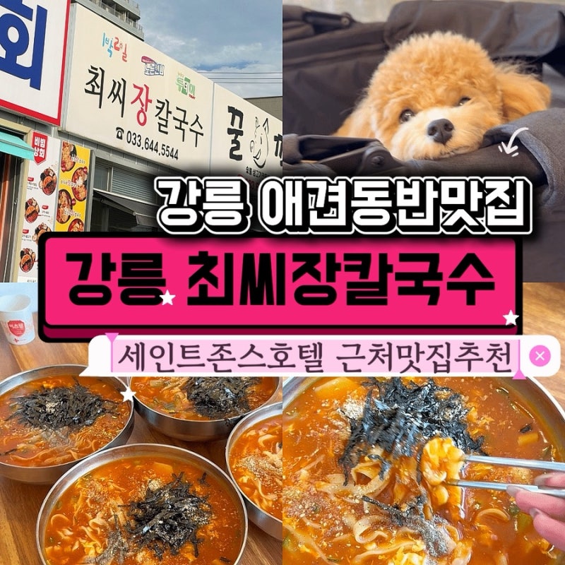 강릉 세인트존스호텔 근처 맛집｜애견동반 가능한 최씨장칼국수 장칼국수 찐맛집 내돈내산 ....