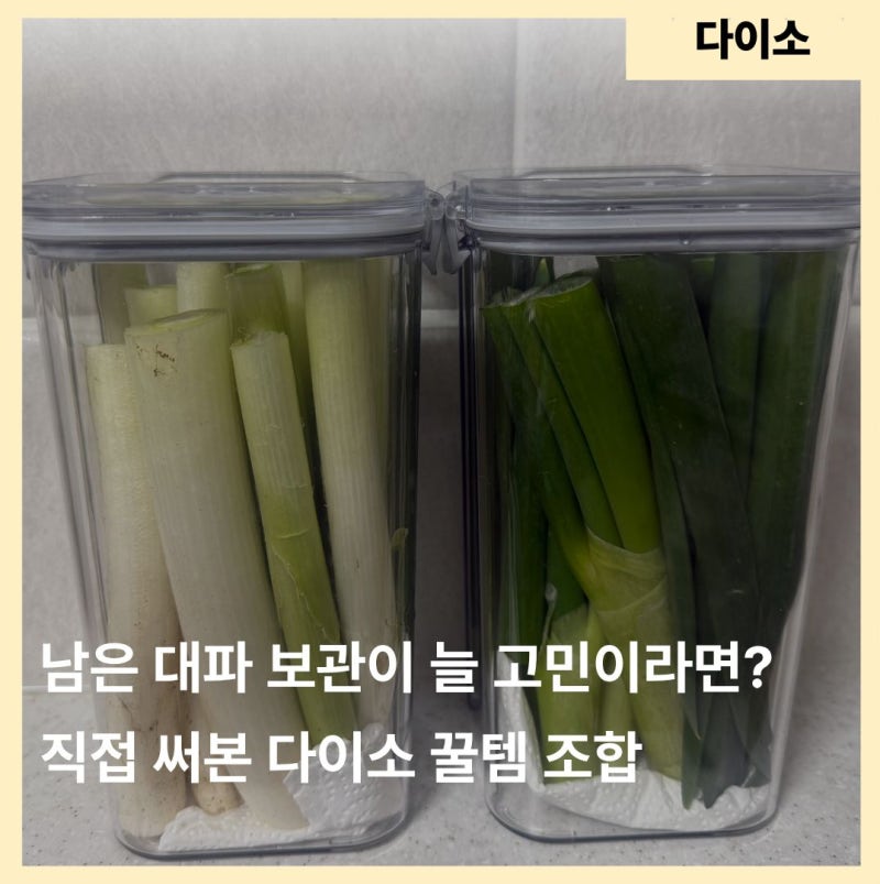 시들어서 버리던 대파, 다이소에서 이 조합 발견했어요